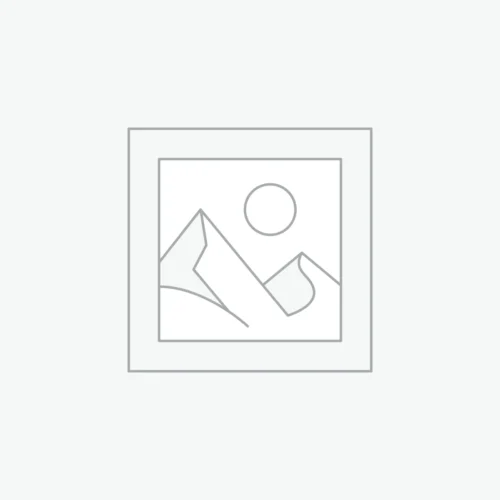 Five-Page Business Website